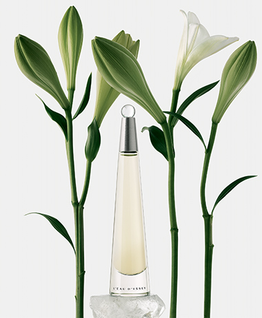 L'eau d'Issey perfume from Issey Miyake